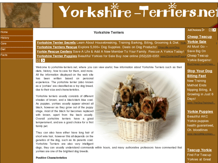 www.yorkshire-terriers.net