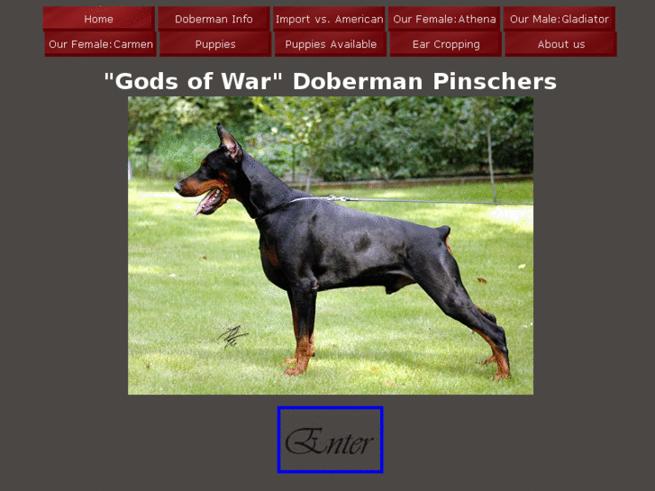 www.dobermann-usa.com