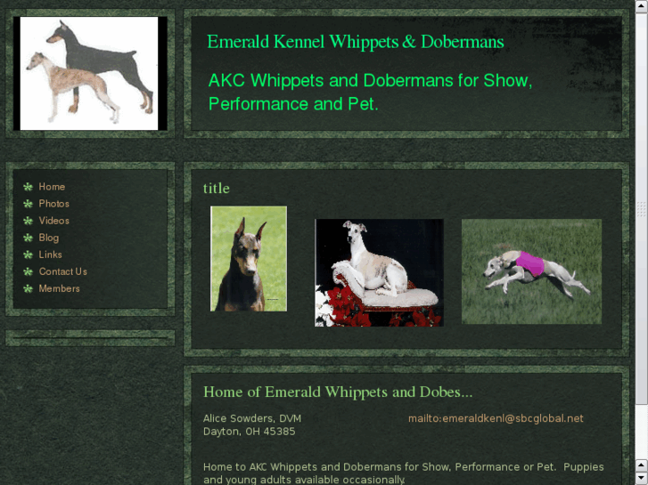 www.emeraldwhippets.com