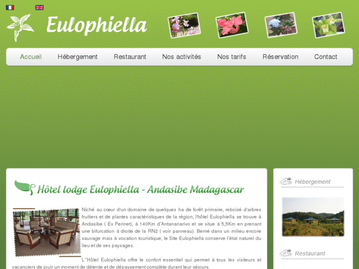 www.eulophiella.com