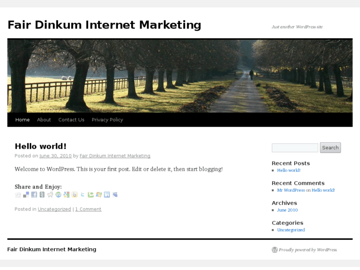 www.fairdinkuminternetmarketing.com