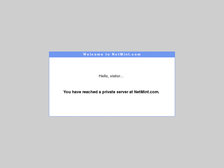 www.netmint.net