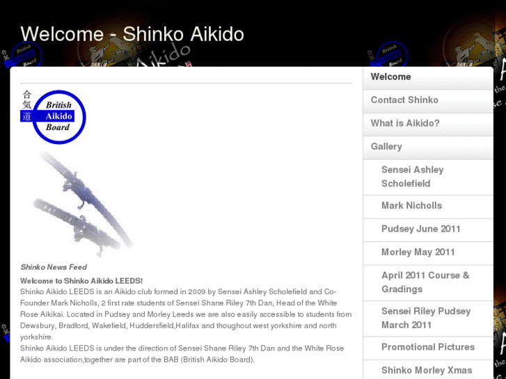 www.shinkoaikido.com