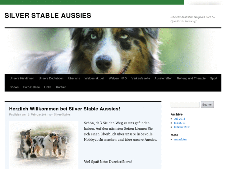 www.silver-star-aussies.com