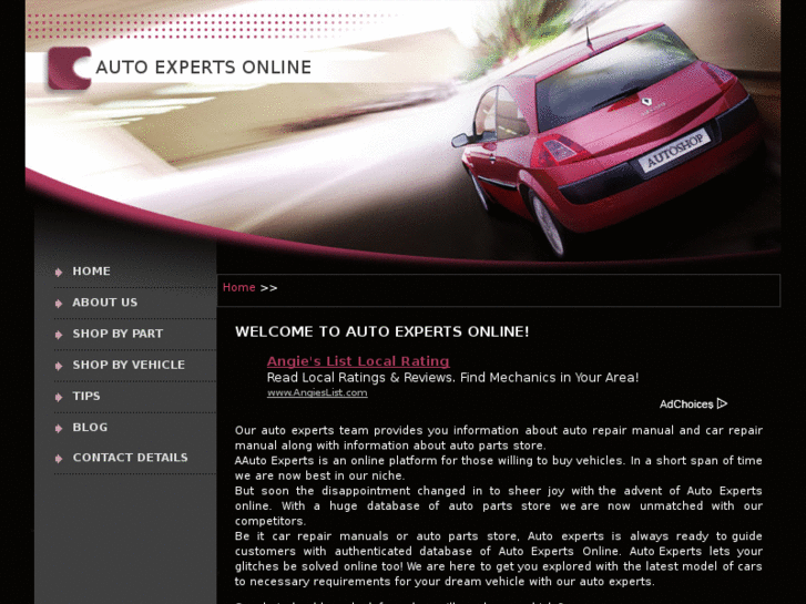 www.auto-experts-online.info