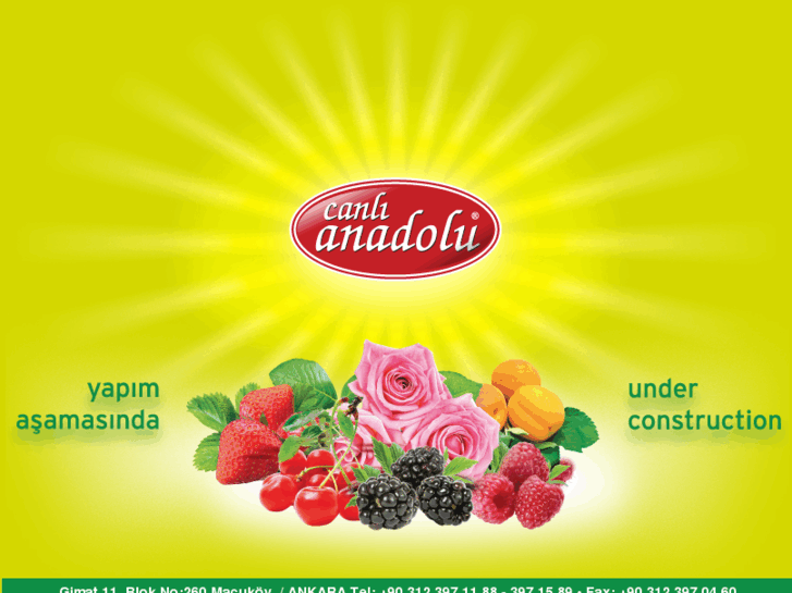 www.canlianadolu.com