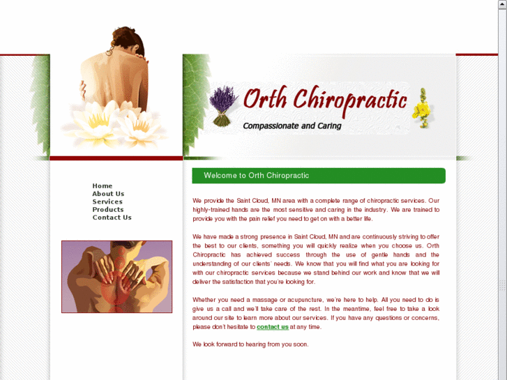 www.drhollyorthchiropractic.com