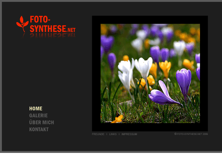 www.foto-synthese.net