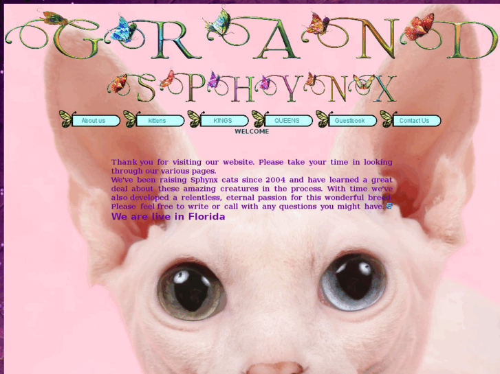 www.grandsphynx.com