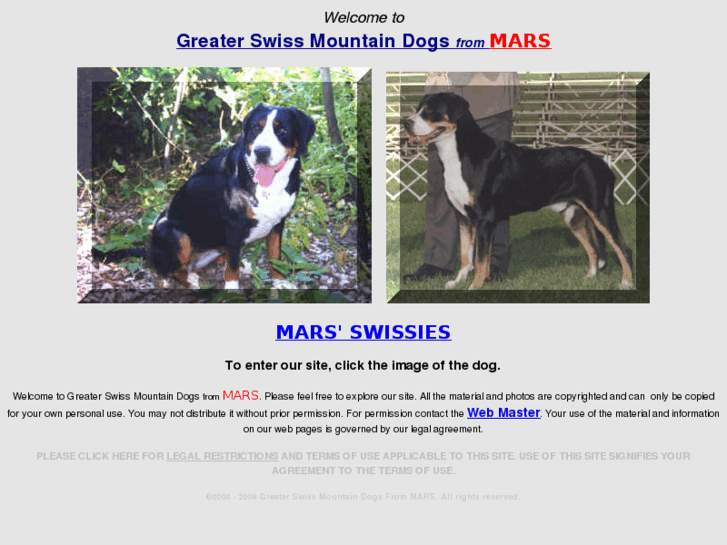 www.mars-swissmountaindog.com