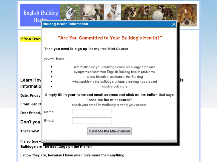 www.englishbulldoghealth.com