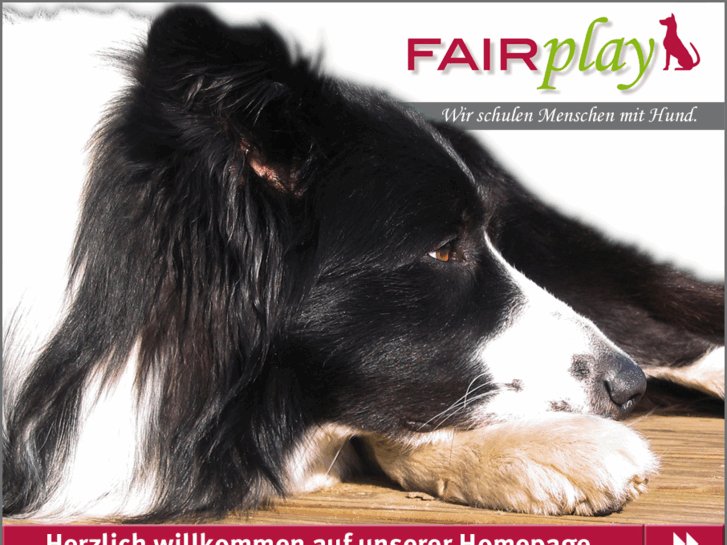 www.hundeschulefairplay.de