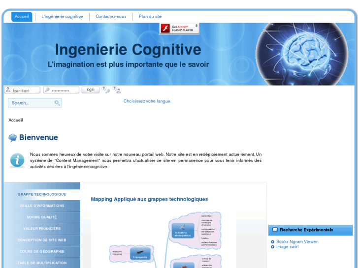 www.ingenierie-cognitive.net