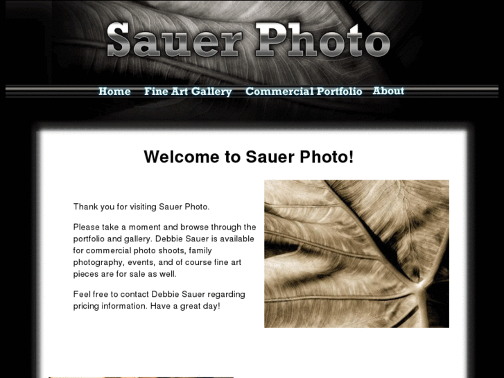 www.sauerphoto.com