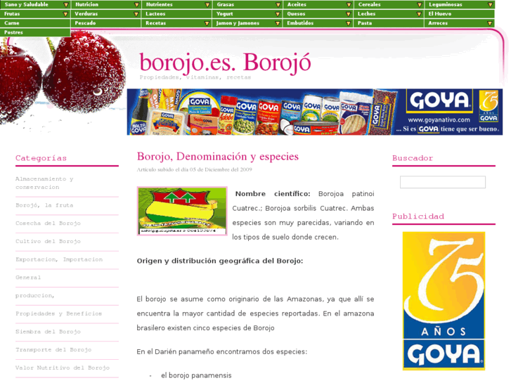 www.borojo.es