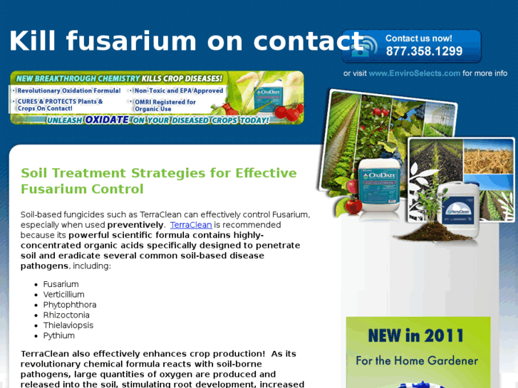 www.controlfusarium.info