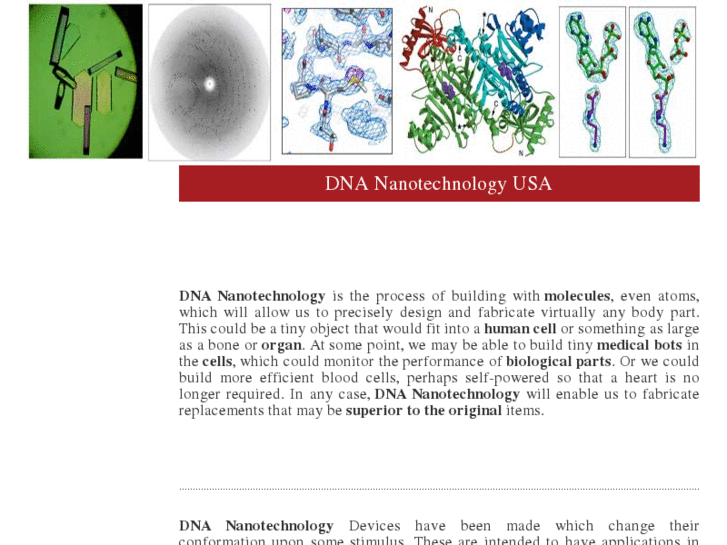 www.dnananotech.org