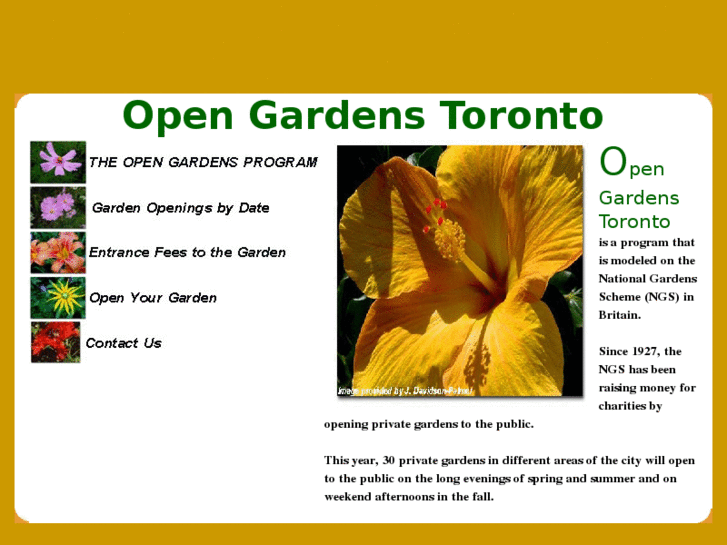 www.opengardenstoronto.com