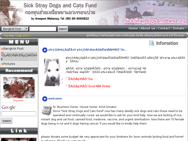 www.sickstraydogsandcats.org