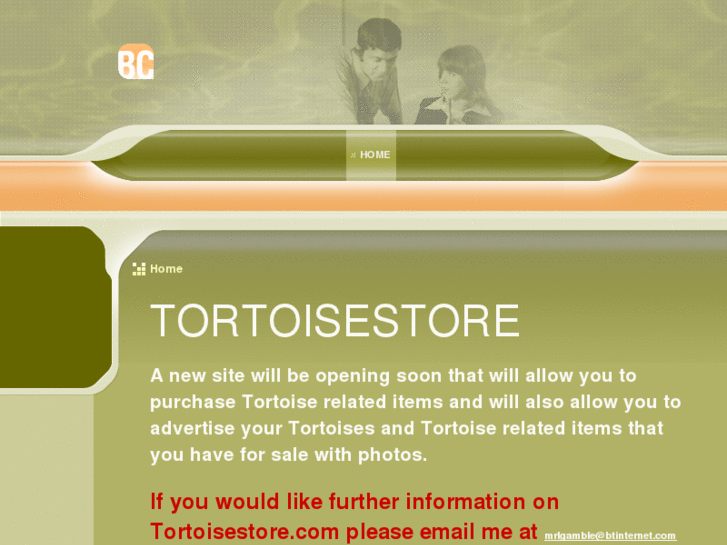 www.tortoisestore.com