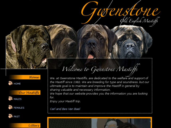 www.gwenstone.com