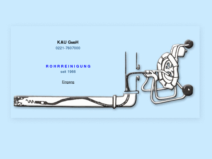 www.kaugmbh.de