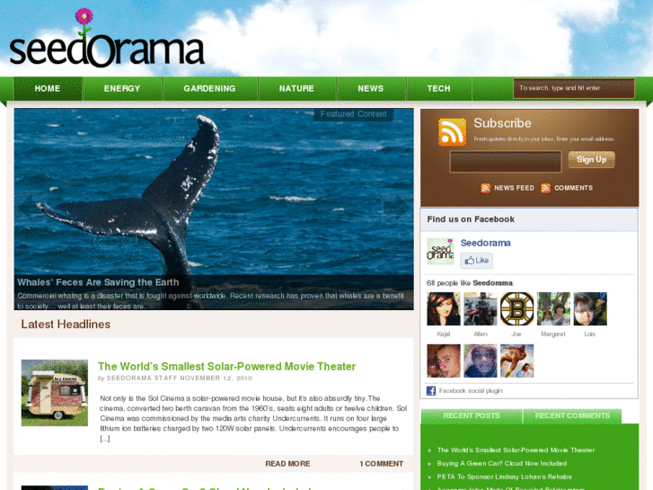 www.seedorama.com