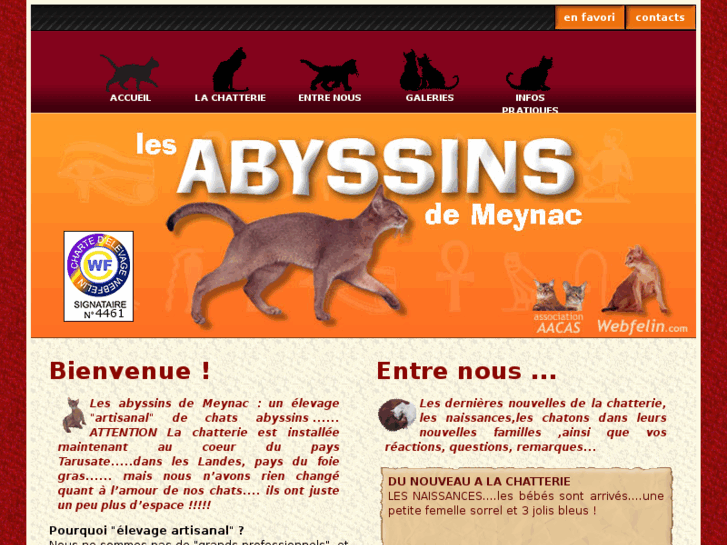 www.abyssin-chocolat.com