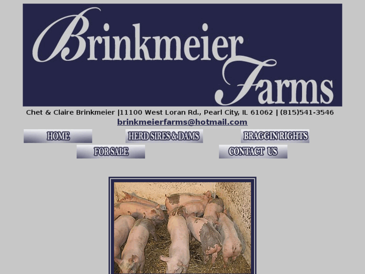 www.brinkmeierfarms.com