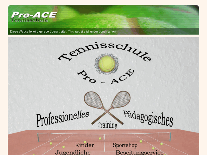 www.pro-ace.org