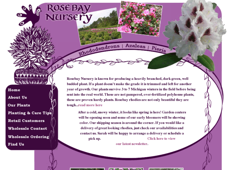 www.rosebaynursery.com