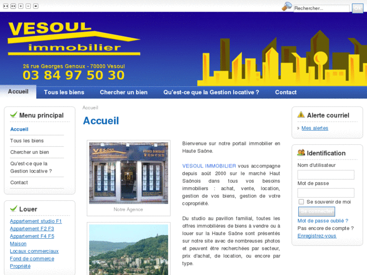 www.vesoul-immobilier.com