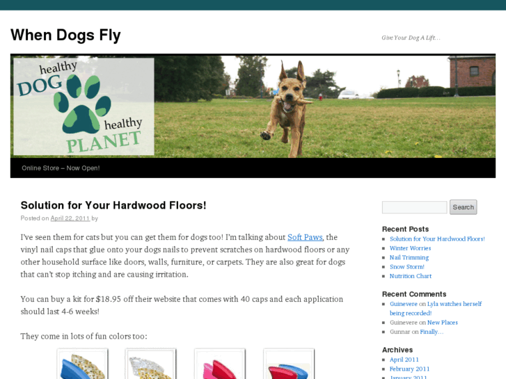 www.whendogsfly.net