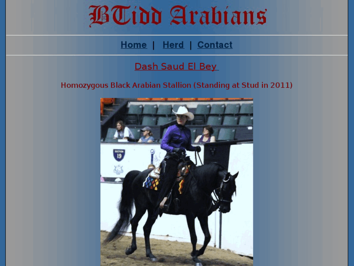 www.btiddarabians.com