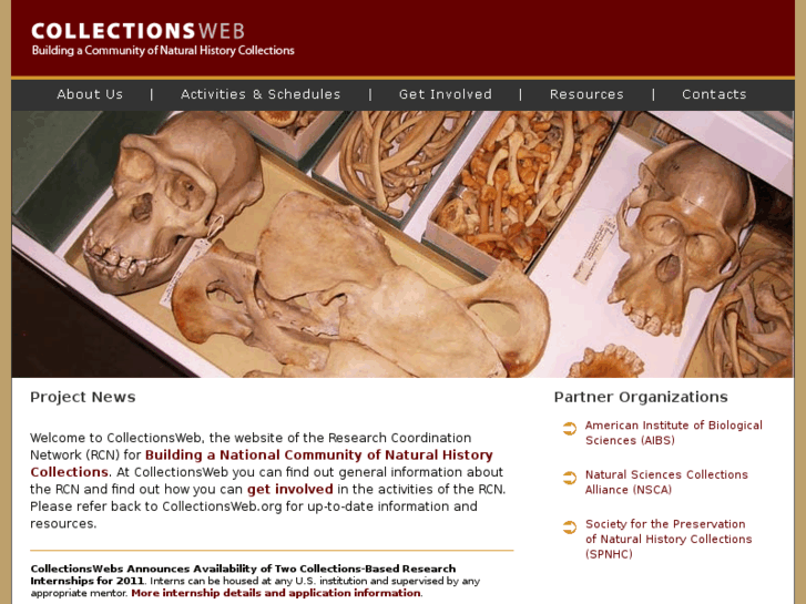 www.collectionsweb.org