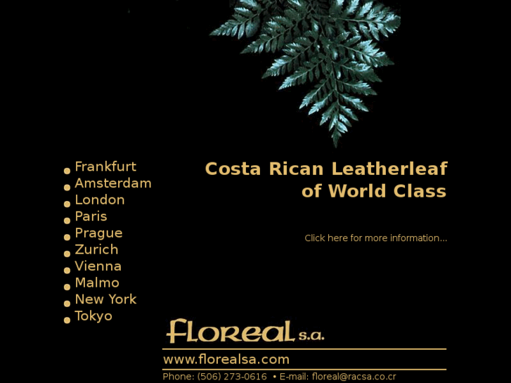 www.florealsa.com