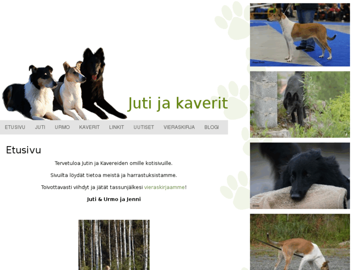 www.jutijakaverit.info