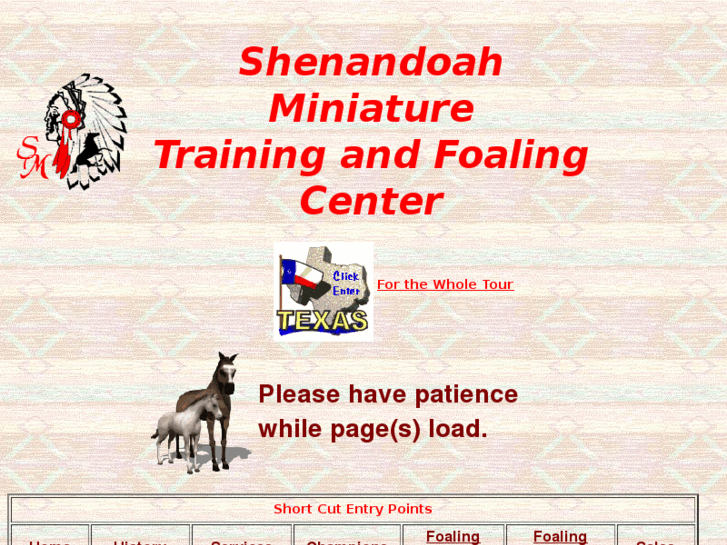 www.shenandoahmini.com