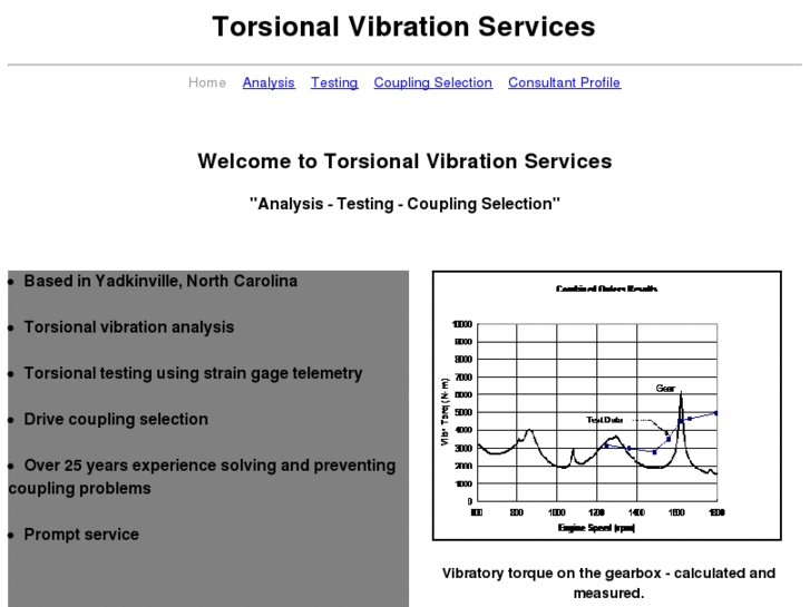 www.torsionalvibrationservices.com