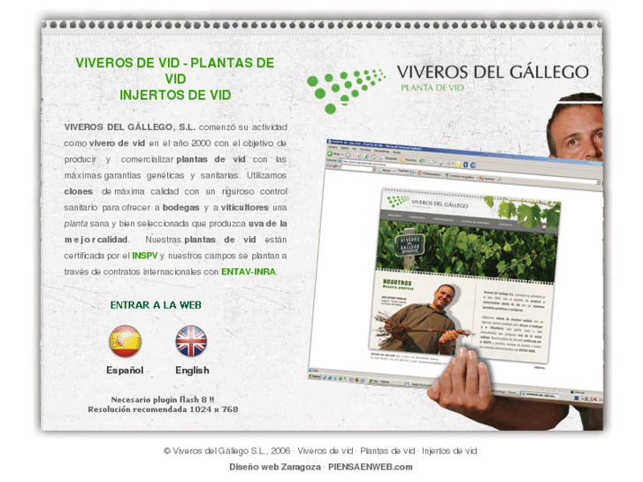 www.viverosdelgallego.com