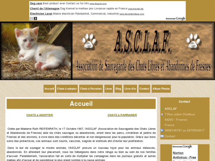 www.asclaf.com