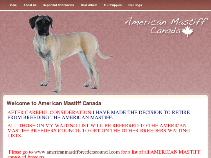 www.americanmastiffcanada.com