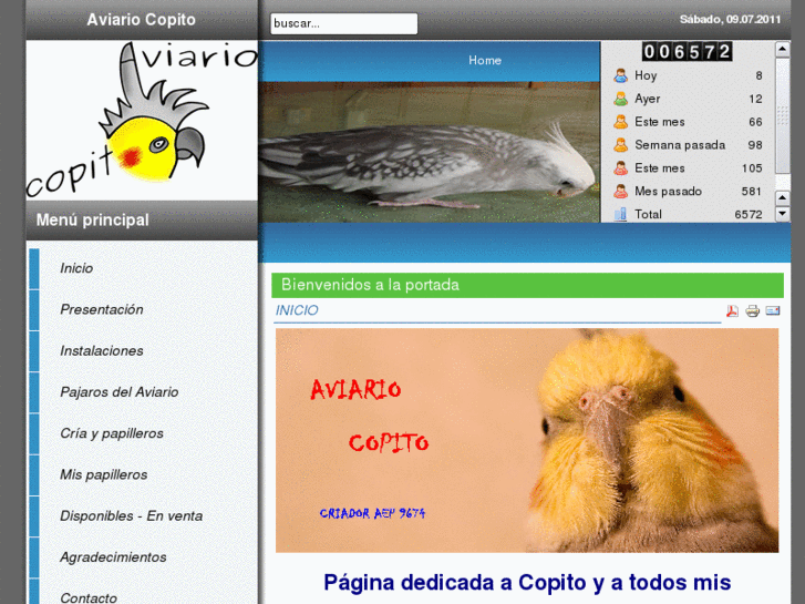 www.aviariocopito.com