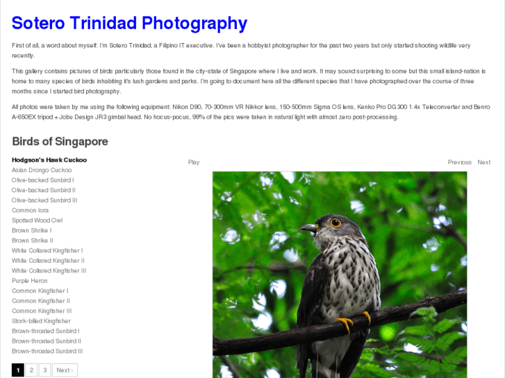 www.avidbirder.net