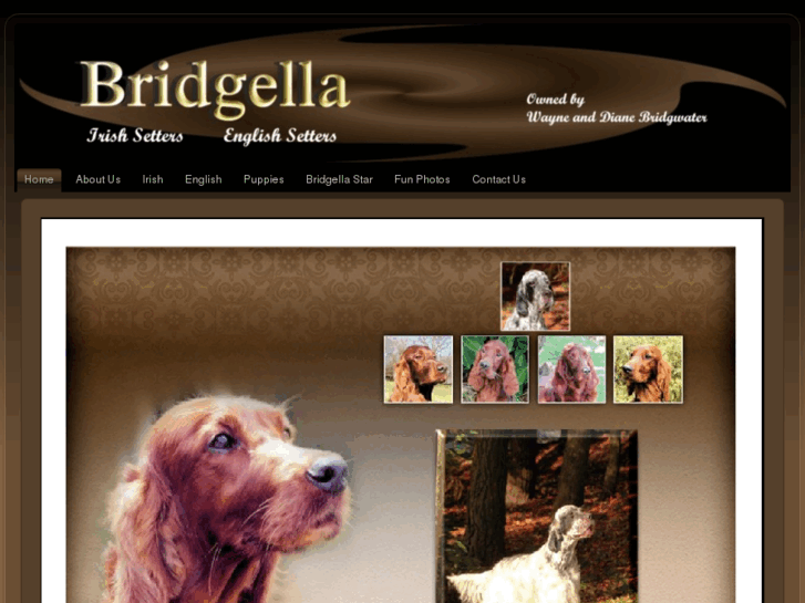 www.bridgella.com