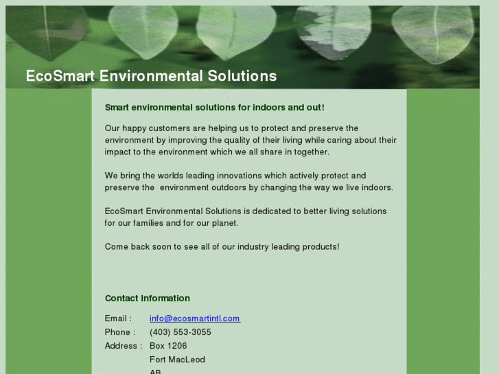 www.ecosmartintl.com