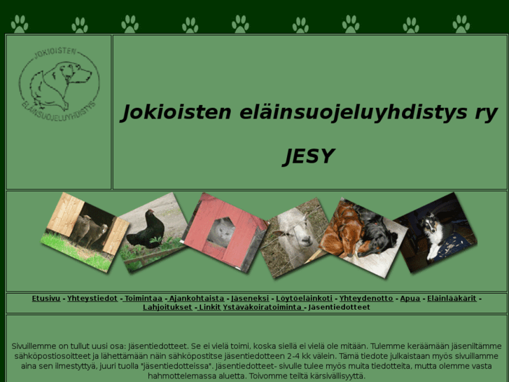 www.jesy.info