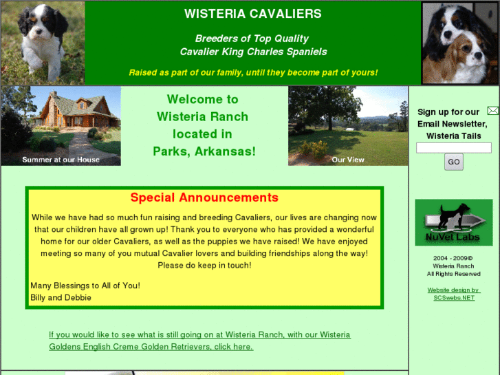 www.wisteriacavaliers.com