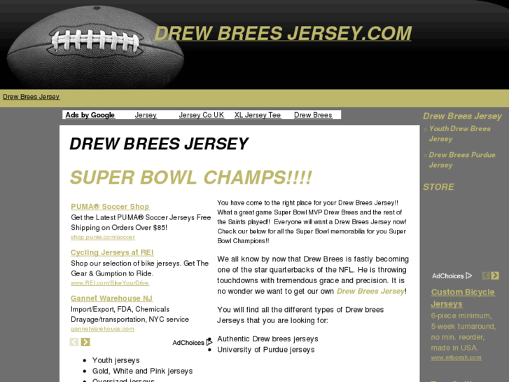 www.drewbreesjersey.com