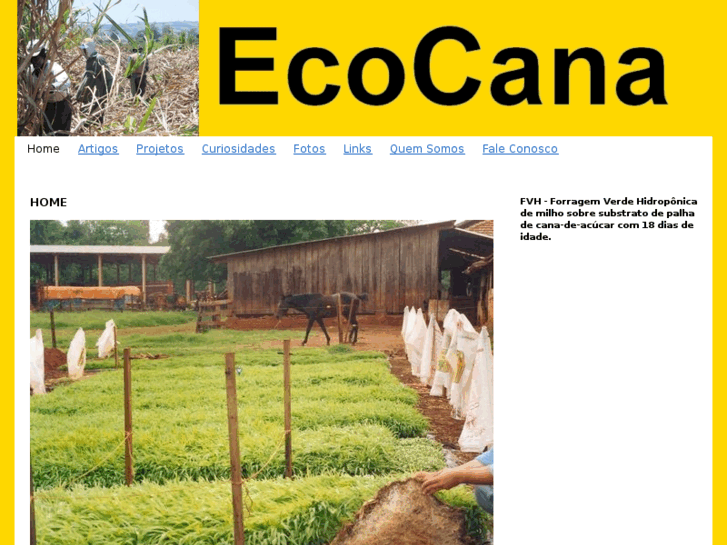 www.ecocana.org